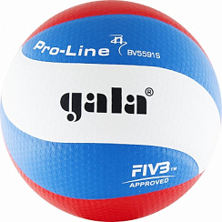 Мяч волейбольный GALA Pro-Line 10 FIVB BV5591S р. 5 белый-голубой-красный